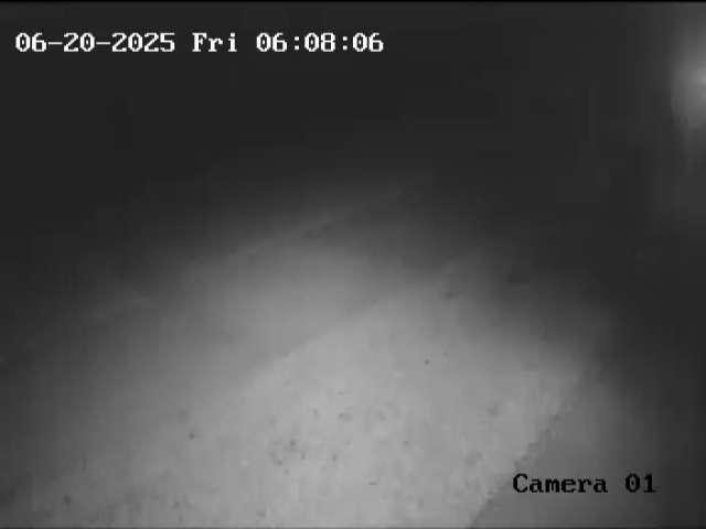 Click here to view the Camera