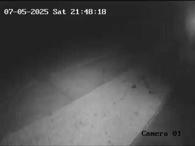 Click here to view the Camera
