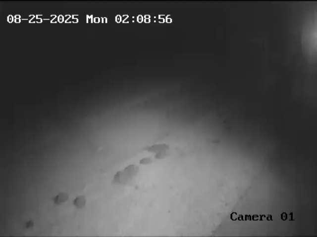Click here to view the Camera