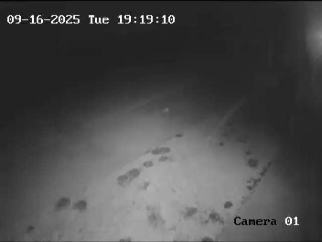 Click here to view the Camera