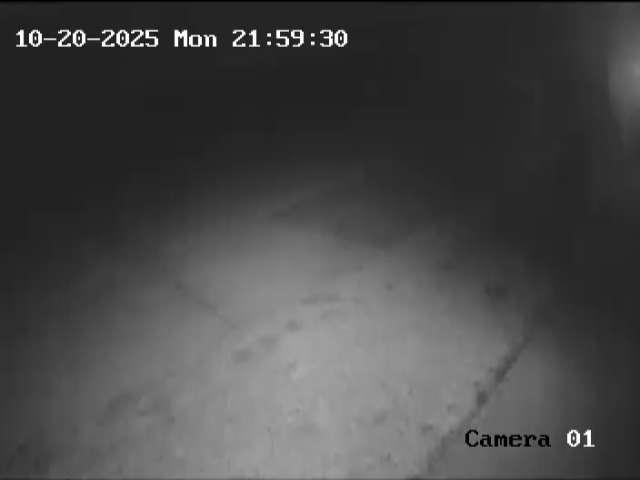 Click here to view the Camera