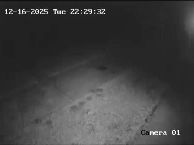 Click here to view the Camera