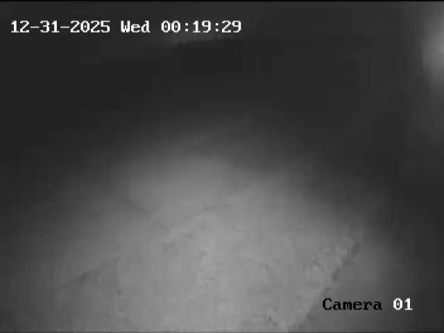 Click here to view the Camera