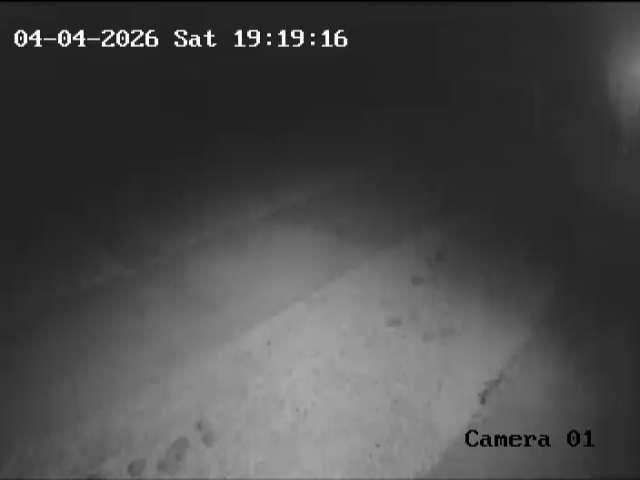 Click here to view the Camera