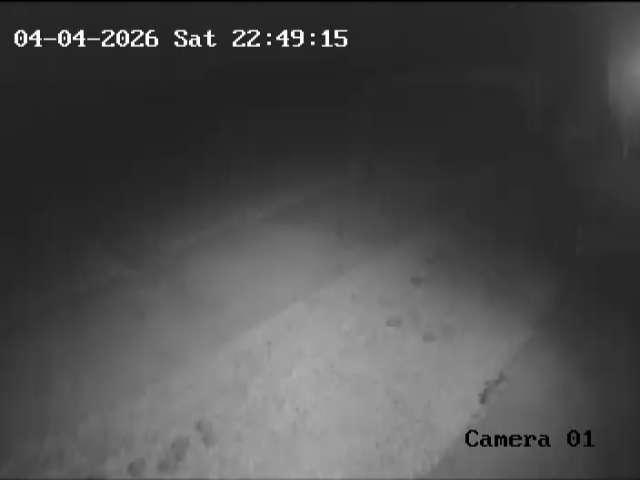 Click here to view the Camera